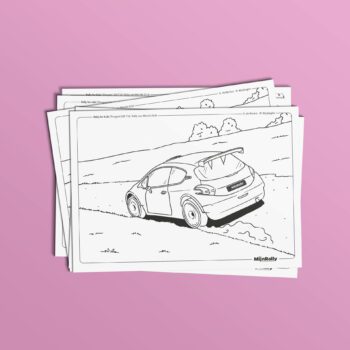 Malvorlage Peugeot 208 T16 - G. de Mevius - M. Wydaeghe - Rally van Wervik 2018